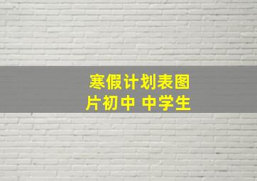 寒假计划表图片初中 中学生